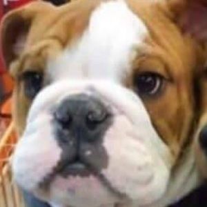 Meet your Posher, Drew